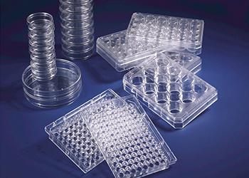 DISPOSABLE LABWARE