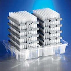 REFILL PIPETTE TIPS